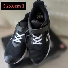 Item thumbnail for item 0e3d27db-86ed-472c-9f0f-685748eda071