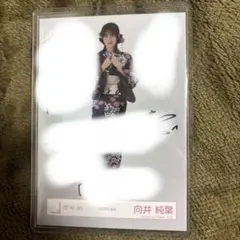 ★直筆サイン 櫻坂46 向井純葉 2025年 浴衣 生写真 ヨリ 櫻坂46 向井純葉 直筆サイン 浴衣 生写真 - メルカリ