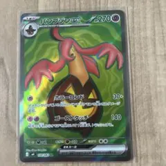 パンプジンEX SR