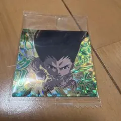 HUNTER×HUNTER シールウエハース vol.9 ゴン