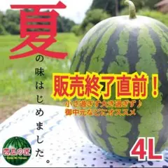 出品品限り早い者勝ち！明日発送日時指定不可 西瓜の匠赤玉TY＆金色羅