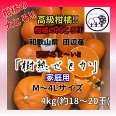 ①和歌山県田辺産 せとか オレンジ みかん 蜜柑 柑橘 家庭用4kg