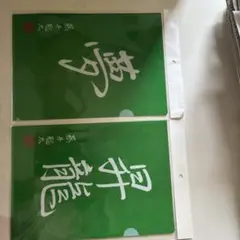 藤井聡太クリアファイル2枚