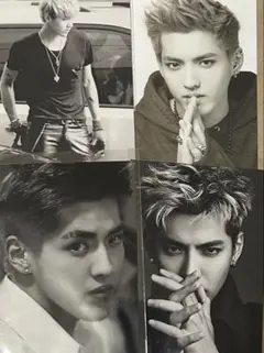 確認ページ　EXO クリス　グッズ　クリアファイル　切り抜き　フォト写真セット⑤ EXO クリス グッズ クリアファイル 切り抜き フォト写真セット⑤
