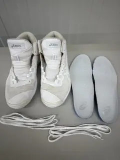 Item thumbnail for item d0074159-542b-4d09-a4a9-727d8a187008