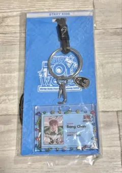 Stray Kids  अपघात 狼崽 識別證套組 證件套