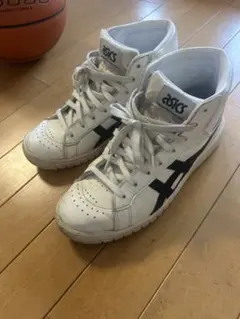 ポイントゲッター　アシックス GEL-PTG L 25.5