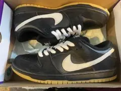 NIKE SB DUNK LOW PRO　HF3704-003　27.5cm