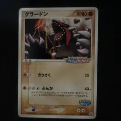 ポケパークのグラードン ポケモンカード プロモ