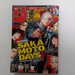 週刊少年ジャンプ 2022年 30号（ONE PIECE付録）