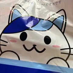 Item thumbnail for item 447da76d-9dcb-4139-97b8-026fb76cf3f6