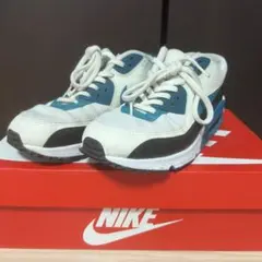 《値下げ》ナイキ エアマックス90 24.5cm スニーカー AirMax90