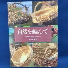 Item thumbnail for item 334aa058-e0f3-4342-baf6-65b99b14c507