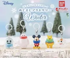 ディズニーキャラクター めじるしアクセサリー Winter 全5種セット