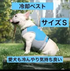 Item thumbnail for item 89768a69-e1a7-4020-8168-19b0af07841e