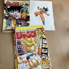DVD付ジャンプ流 vol.01 鳥山明 ドラゴンボール ダイマ - メルカリ