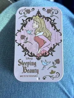 ディズニープリンセス２すらいどきゃん【オーロラ姫】