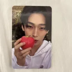 ENHYPEN THE SIN:VANISH ソヌ トレカ