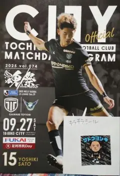 栃木シティ　佐藤喜生 セット