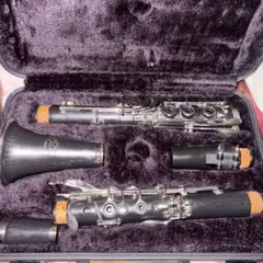 Item thumbnail for item 21c8f441-15dd-485e-903c-2ce8a2b0faa5