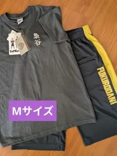 Item thumbnail for item aef85c27-6fdc-40f8-b58f-91ebf788ef14