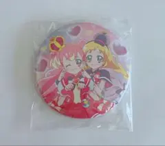 わんだふるぷりきゅあ　わんぷり　プリティ犬袋　缶バッジ　ワンダフル＆フレンディ