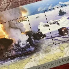 エゾシゲ様 リクエスト 2点 まとめ商品