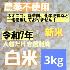 ☆味の素☆ 只今TVCM中☆白米どうぞ☆30合×2袋☆たっぷり60合分 
