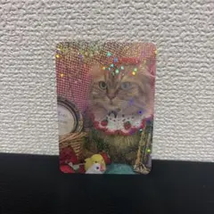 即日発送 猫カフェMOCHA 町田ジョルナ店 限定ポストカード ボス - メルカリ