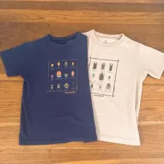 mont-bell 昆虫 どんぐり　プリント Tシャツ 140cm 2枚セット