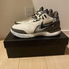 Nike LeBron NXXT Gen AMPD 27.0cm
