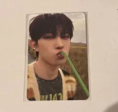 ALD1 ゴヌ オリヤン トレカ ストローver.