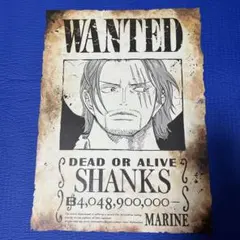 当選品】30億ルフィWANTED 新四皇手配書コンプリートセット ポスター