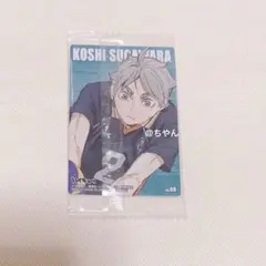 ハイキュー！！ ウエハース ゴミ捨て場の決戦 菅原孝支