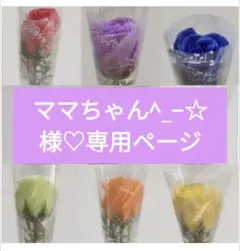 ママちゃん^_−☆様専用