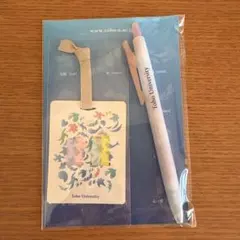 Item thumbnail for item 99e2dbbd-9cbd-47c2-8ca4-2fd0bf20c4fd