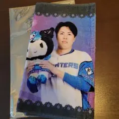 【新品未開封】日本ハムファイターズ 田中正義 ホームレプリカユニフォーム L 田中 正義 グッズ ユニフォーム タオル｜北海道日本ハム