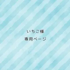 【いちご様】 専用ページ