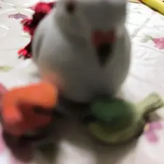 陶器製 鳥の置物 3点セット
