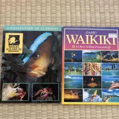 ハワイ　ワイキキ　ポストカード&アクアリウム