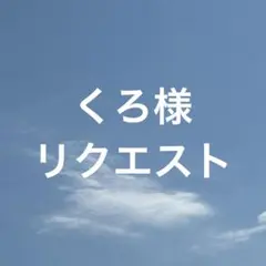 くろ様 リクエスト 2点 まとめ商品