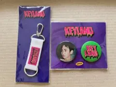 SHINee - miiko　ピンバッチ、キーリングセット パッチン キーリング・キーキャップセット □ホワイト・ゴールド