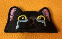 Item thumbnail for item 27a15d23-968b-4cae-9de4-6e3488048701