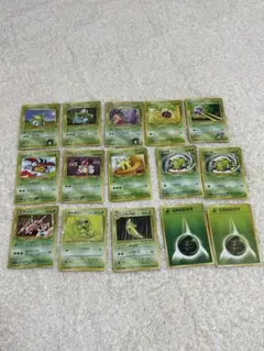 旧裏エリカのフシギダネ他15枚セット　引退品　まとめ売り