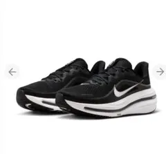 Nike Air Zoom Winflo 12 ブラック