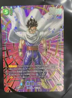 孫悟飯SH 2nd anniversary setプロモ - メルカリ