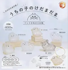 【他犬種あり】うちの子のけだまだま 犬 プードル