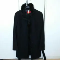 アプワイザーリッシェのコート