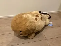 オーオー オーさんしょうさんやっほーJBぬいぐるみ オオサンショウウオ