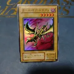 カースオブドラゴン